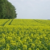 Fotos Landschaft
